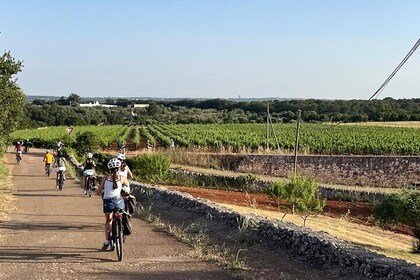 Locorotondo to Alberobello E Bike Tour