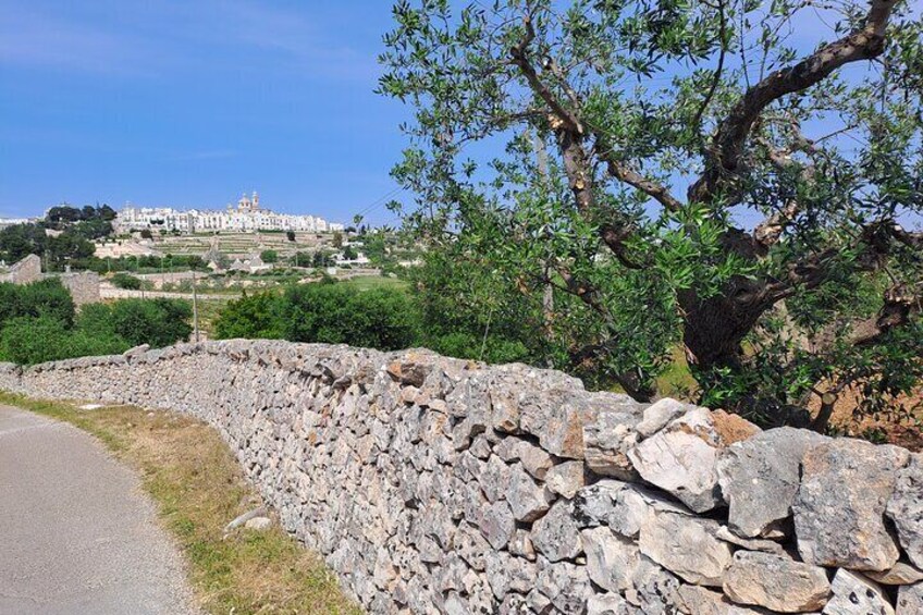 Locorotondo to Alberobello E Bike Tour 