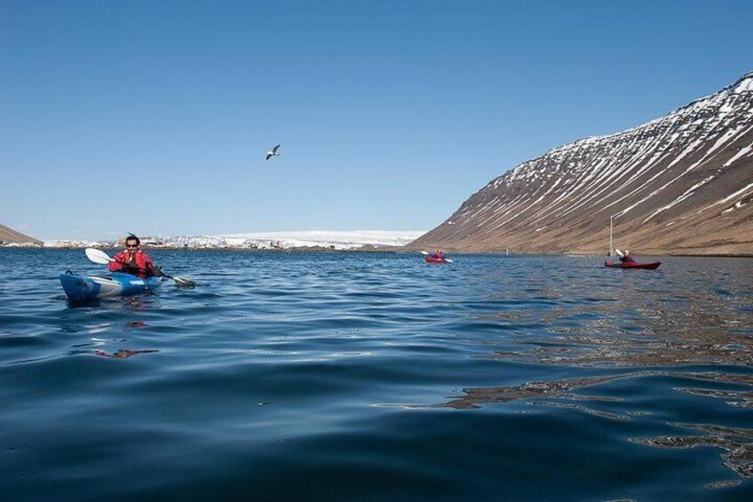 Calm Water Kayaking