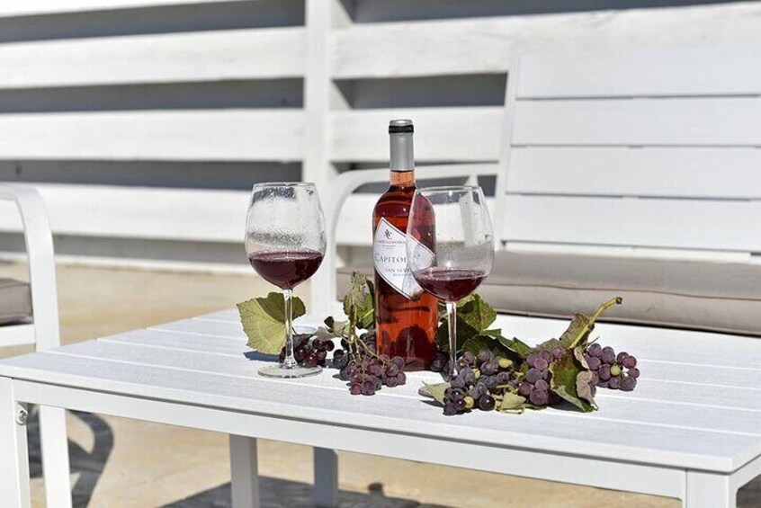 Magical Itria Valley Wine Tasting and Winery Tour
