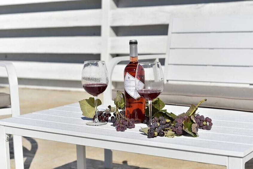 Magical Itria Valley Wine Tasting and Winery Tour