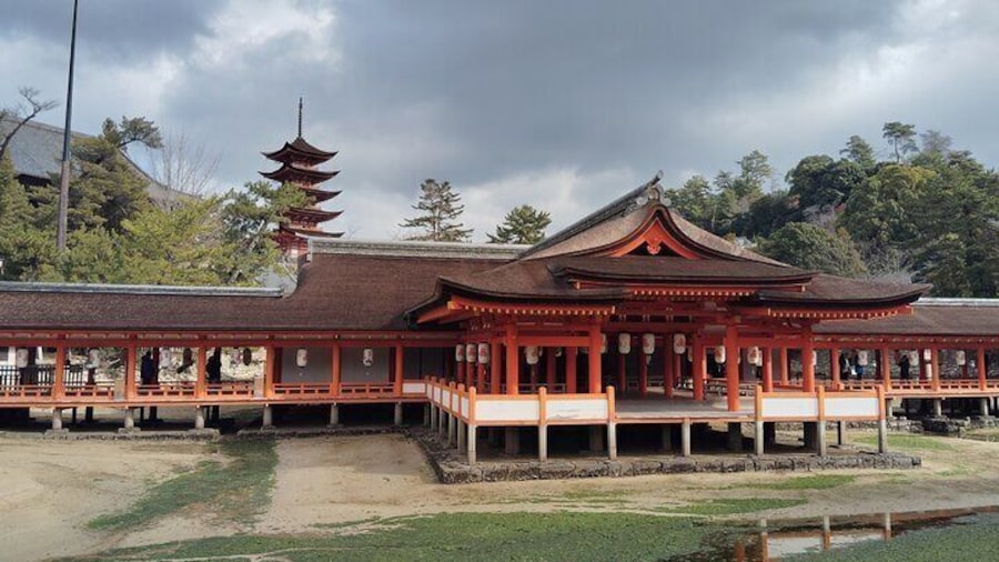Itsukushima Shrine Tour with Local Guide