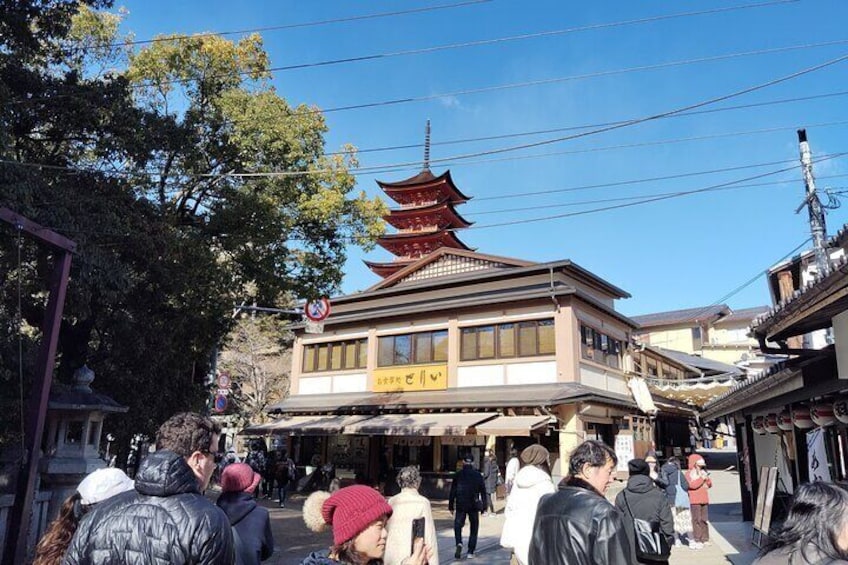 Itsukushima Shrine Tour with Local Guide 