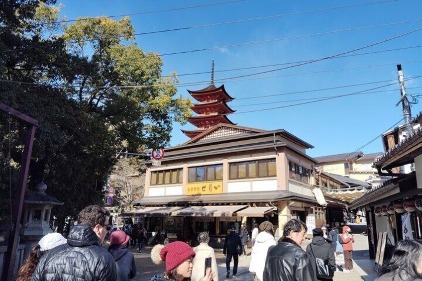 Itsukushima Shrine Tour with Local Guide