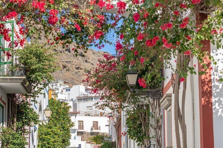 Photoshoot at Puerto de Mogán Flowering Seaside Fish Village