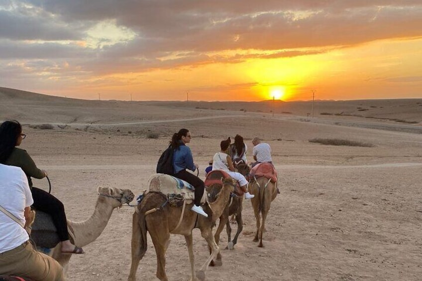 Atlas Mountains and Agafay Desert Tour with Quad and Camel Rides