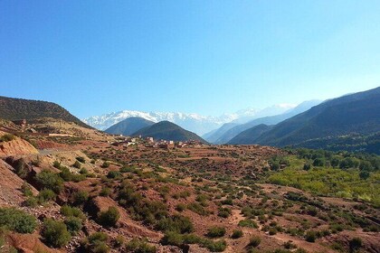 Atlas Mountains and Agafay Desert Tour with Quad and Camel Rides