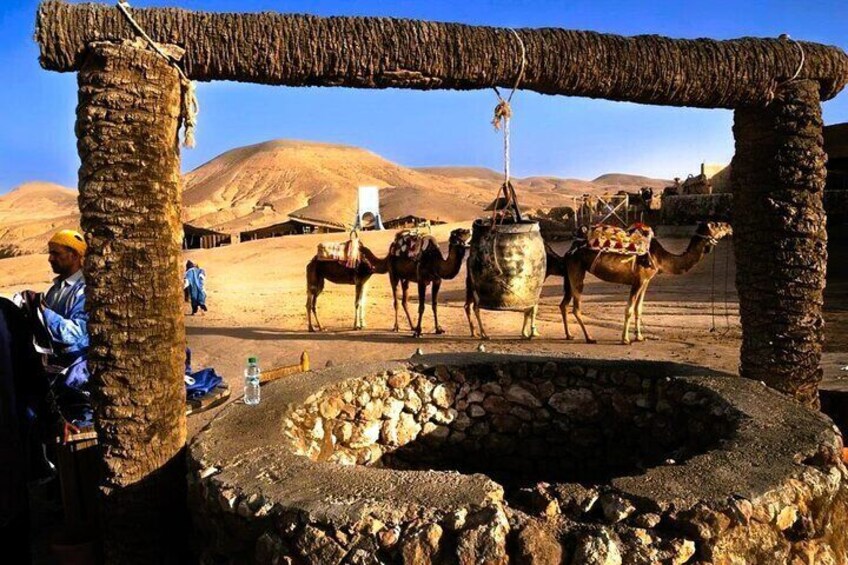 Atlas Mountains and Agafay Desert Tour with Quad and Camel Rides
