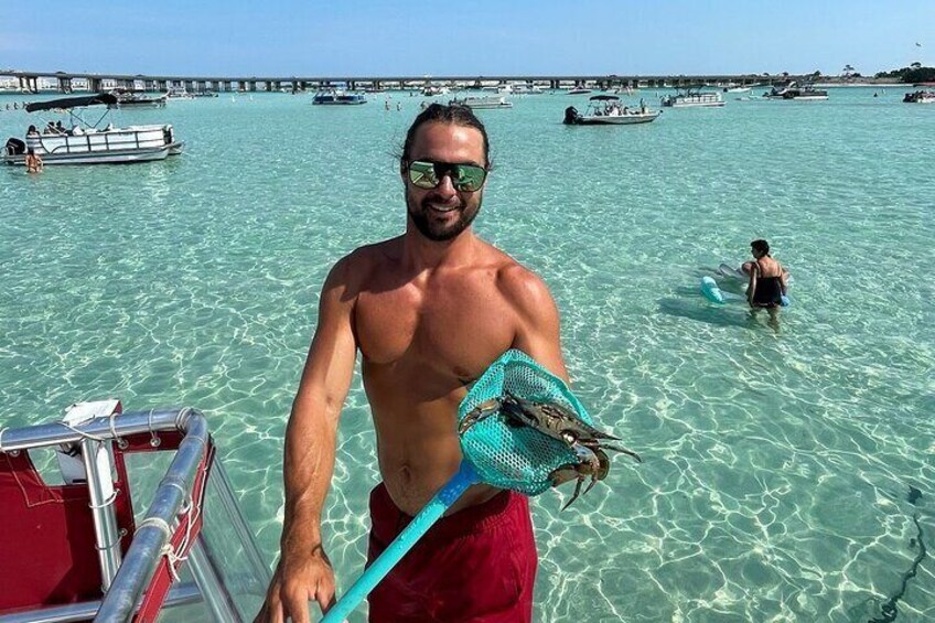 SunVenture crew member showing of a blue crab that he caught at Crab Island. 