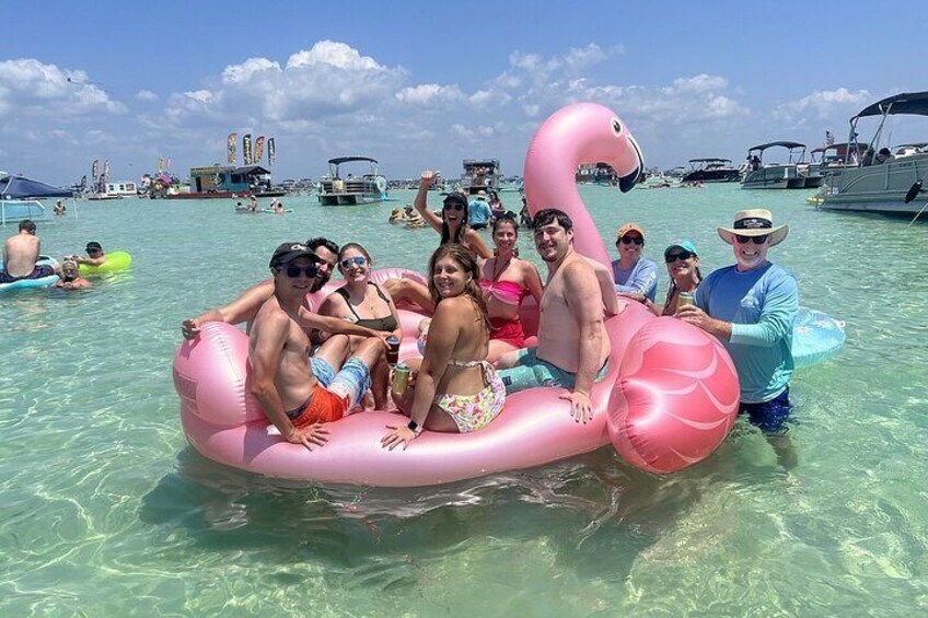 Group of cruises floating in the water at Crab Island.