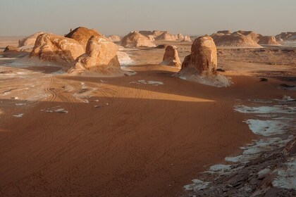 White Desert Eco Adventure