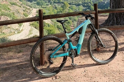 Sierra Calderona Valencia E-Mountain Bike Tour with Hotel Pickup