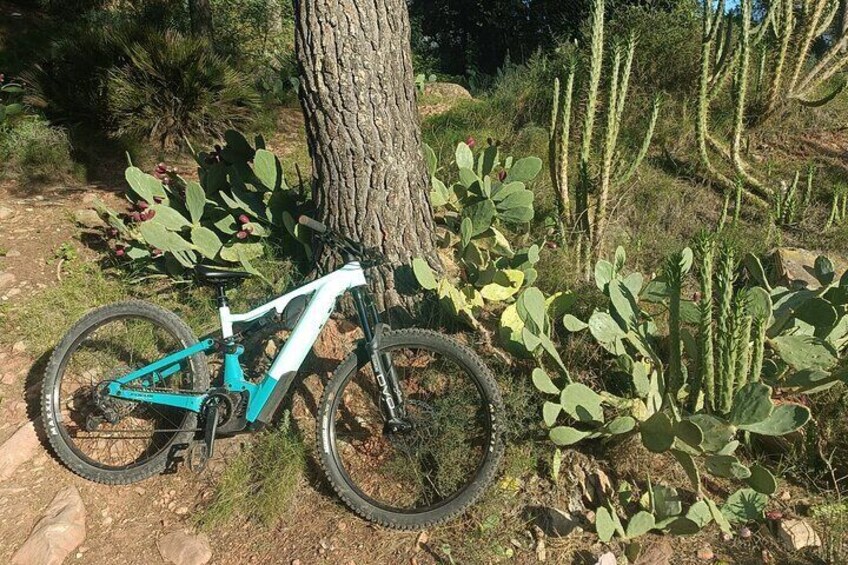 Sierra Calderona Valencia E-Mountain Bike Tour with Hotel Pickup