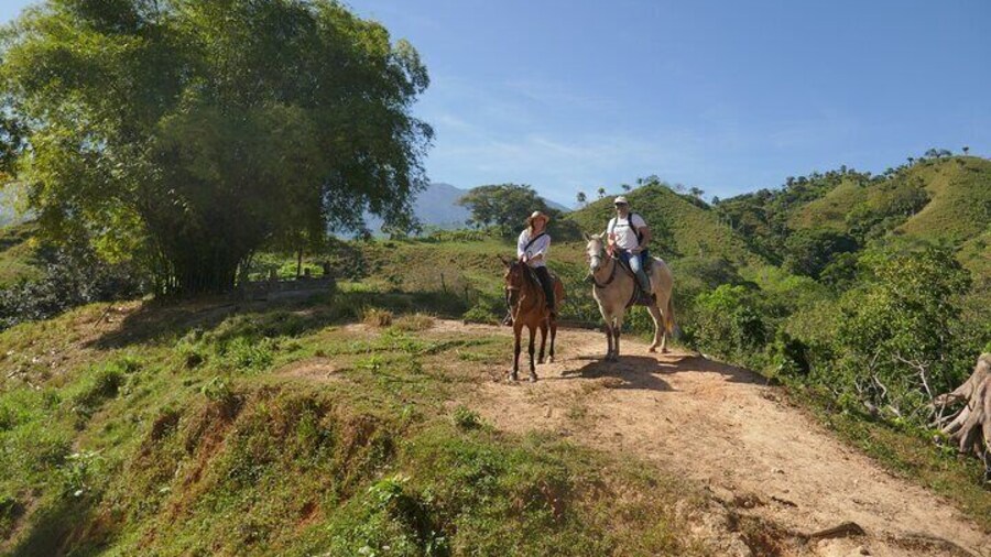 Horse Riding Through Jungle with Local Lunch