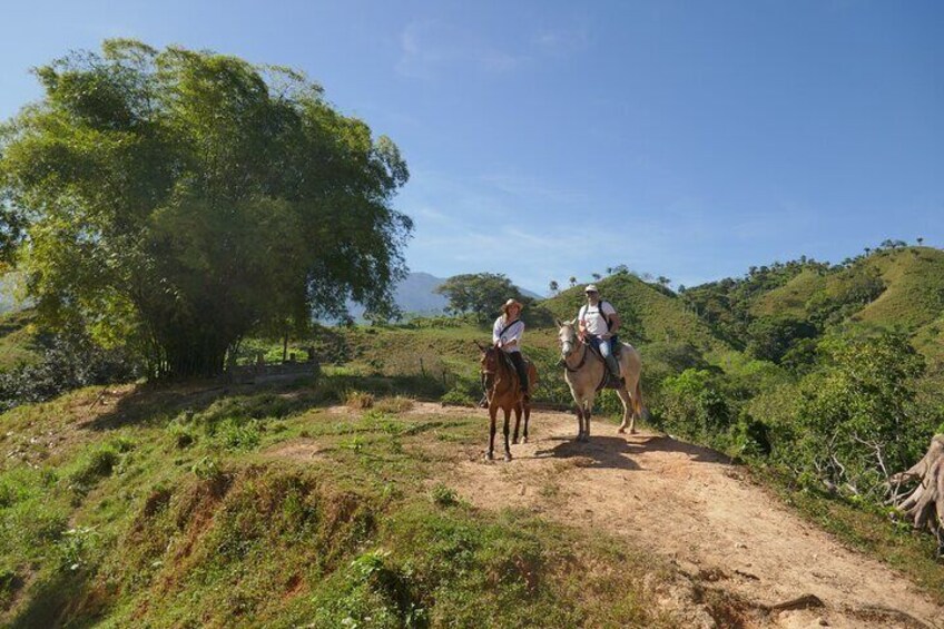 Horse Riding Through Jungle with Local Lunch