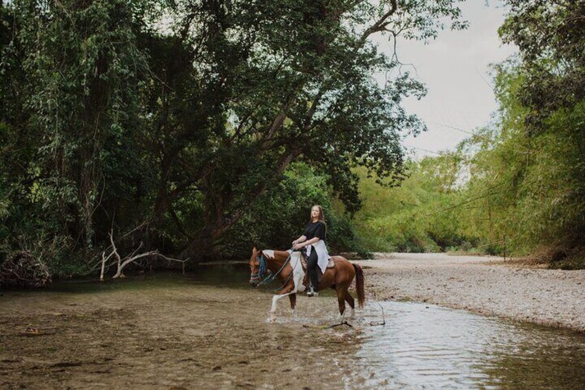 Horse Riding Through Jungle with Local Lunch