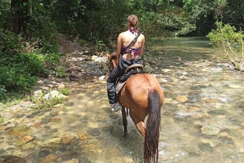 Horse Riding Through Jungle with Local Lunch