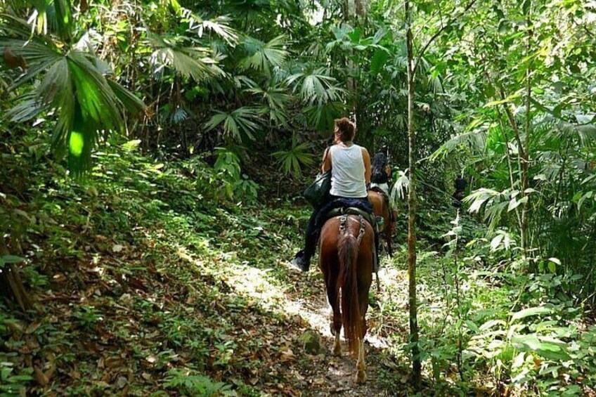 Horse Riding Through Jungle with Local Lunch