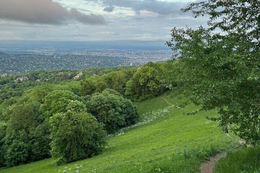 Hiking and Chairlift in Budapest