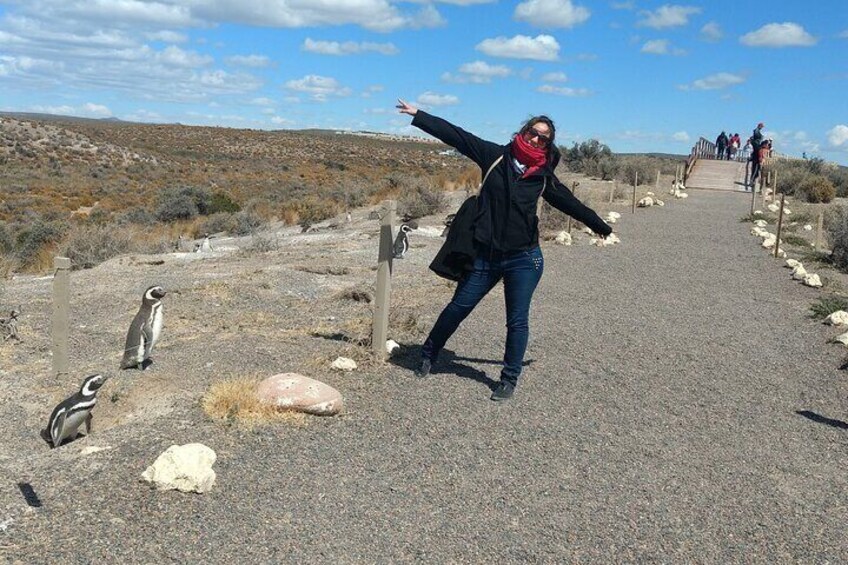 Punta Tombo Full Day with Entrace Fee from Puerto Madryn