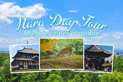 Desde Osaka, Nara Excursión privada de un día personalizable