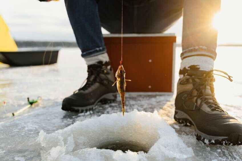 Ice Fishing Festival from Seoul