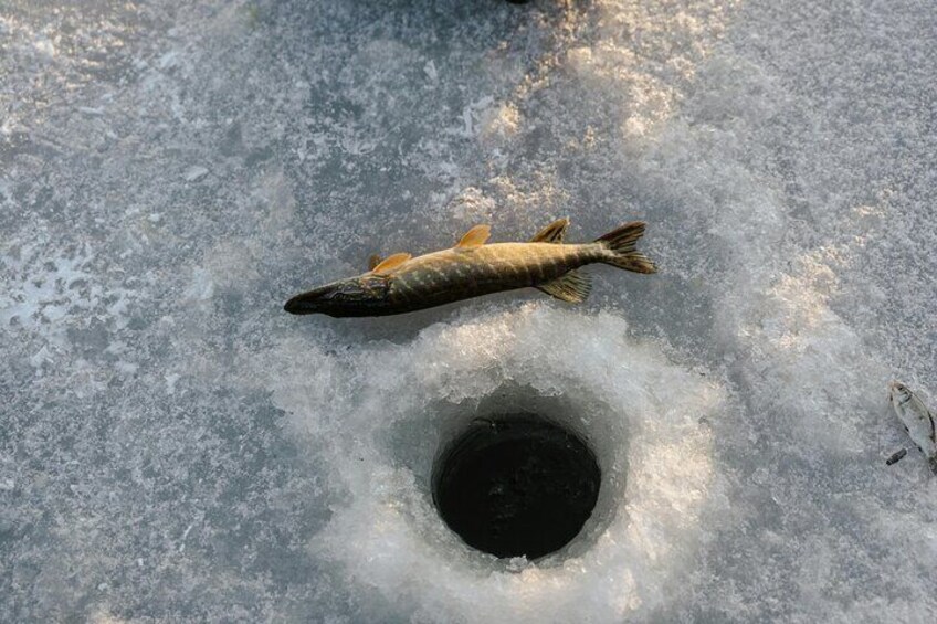 Ice Fishing Festival from Seoul