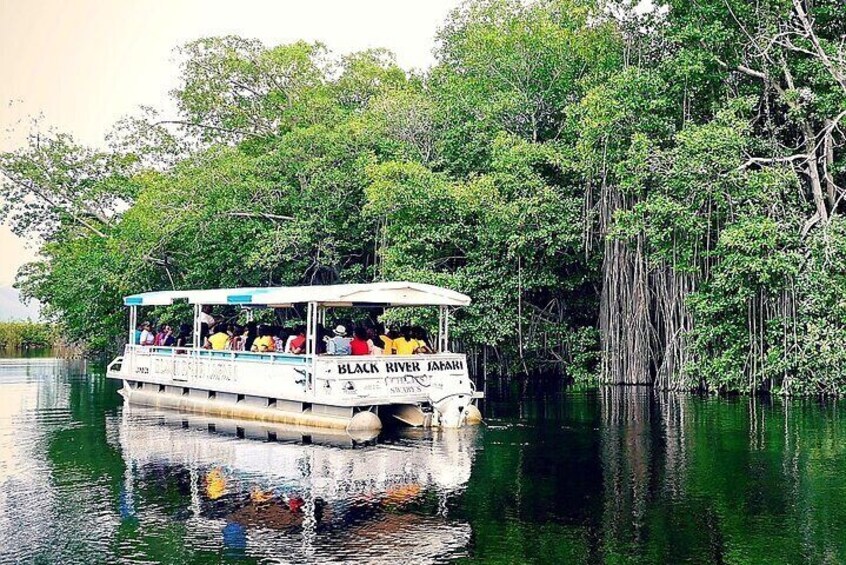 Black River Safari YS Falls Lunch Classic Combo From Negril