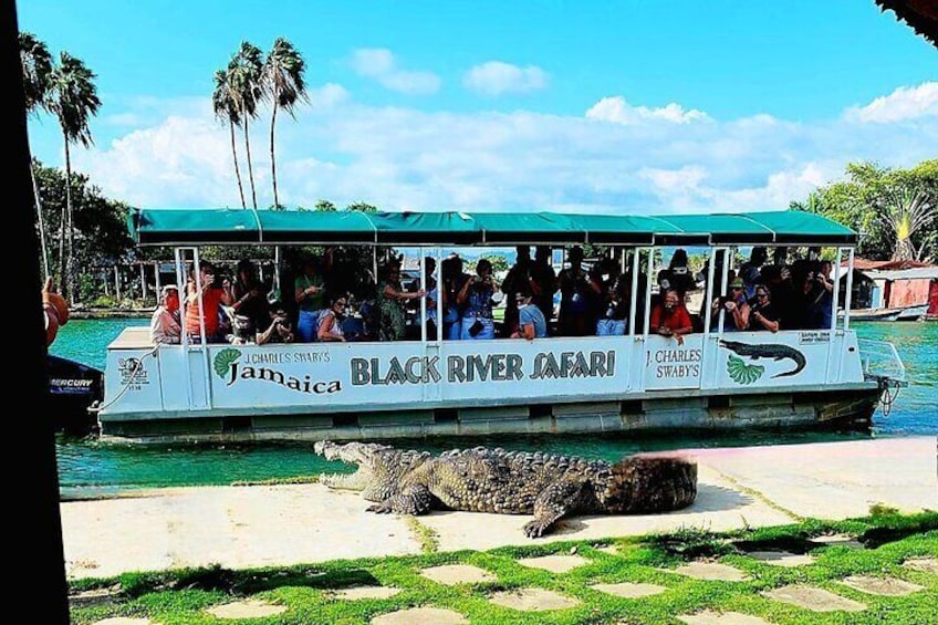 Black River Safari YS Falls Lunch Classic Combo From Negril