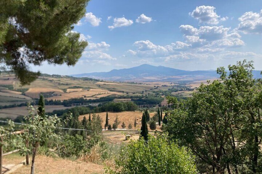 Montalcino Brunello vineyards