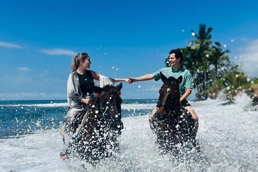 Saba Beach Horse Riding Bali Beach Horse Back Riding