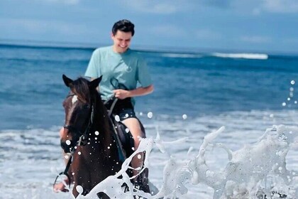 Saba Beach Horse Riding Bali Beach Horse Back Riding