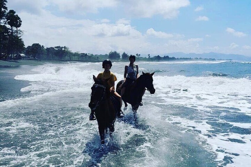 Saba Beach Horse Riding Bali Beach Horse Back Riding