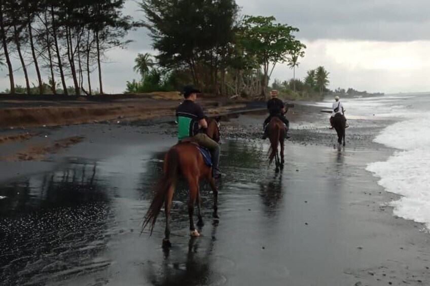 Saba Beach Horse Riding Bali Beach Horse Back Riding