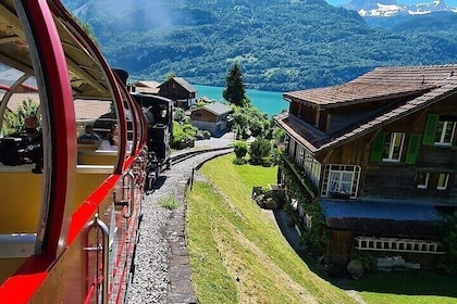Private Tour Bernese Alps Steam Train & Lake Cruise from Lucerne