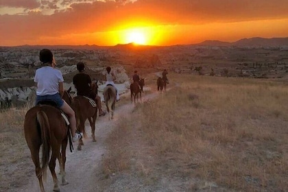Paseos a caballo al atardecer o durante el día