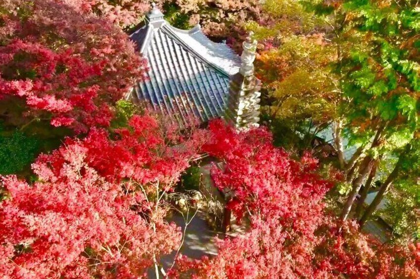 Ruyilun Temple, the red leaves in autumn are a rare sight