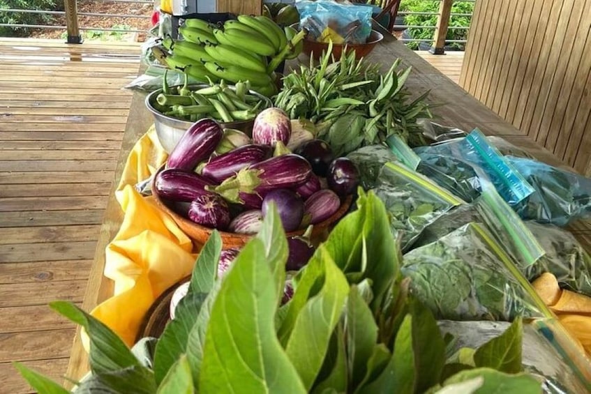 Guided Farm Tour with Local Treats and Beach Experience