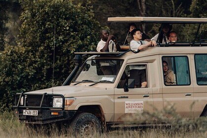 8 Days Big 5 Migrations Safaris - River Crossing