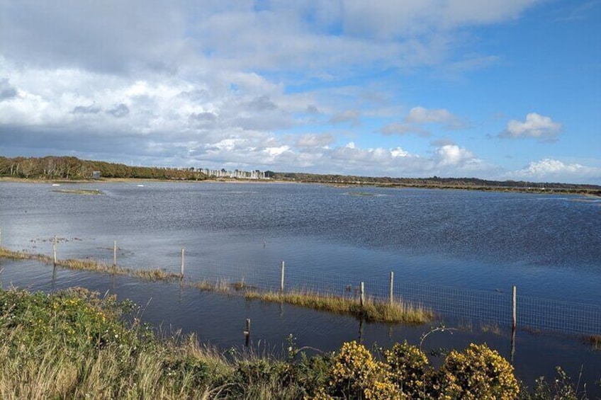 Lymington Wildlife Discovery Walk