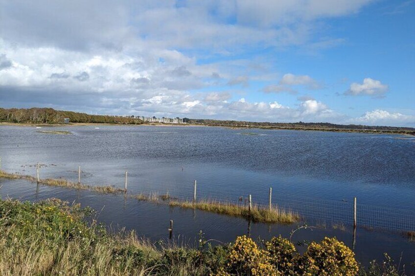 Lymington Wildlife Discovery Walk