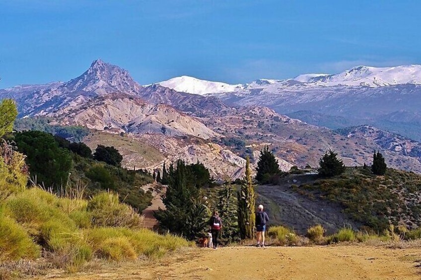  Sunset Hike & Summit Sierra Nevada - Private Tour with pup-guide