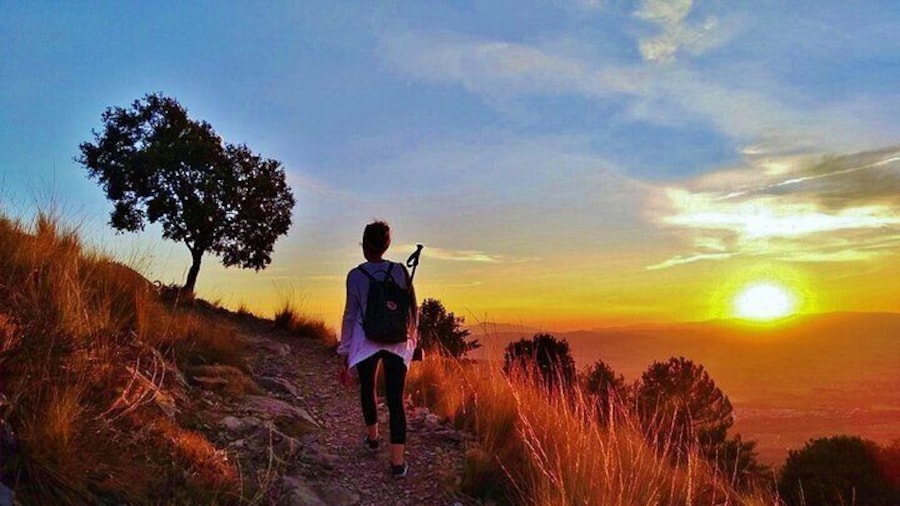 Sunset Hike & Summit Sierra Nevada - Private Tour with pup-guide