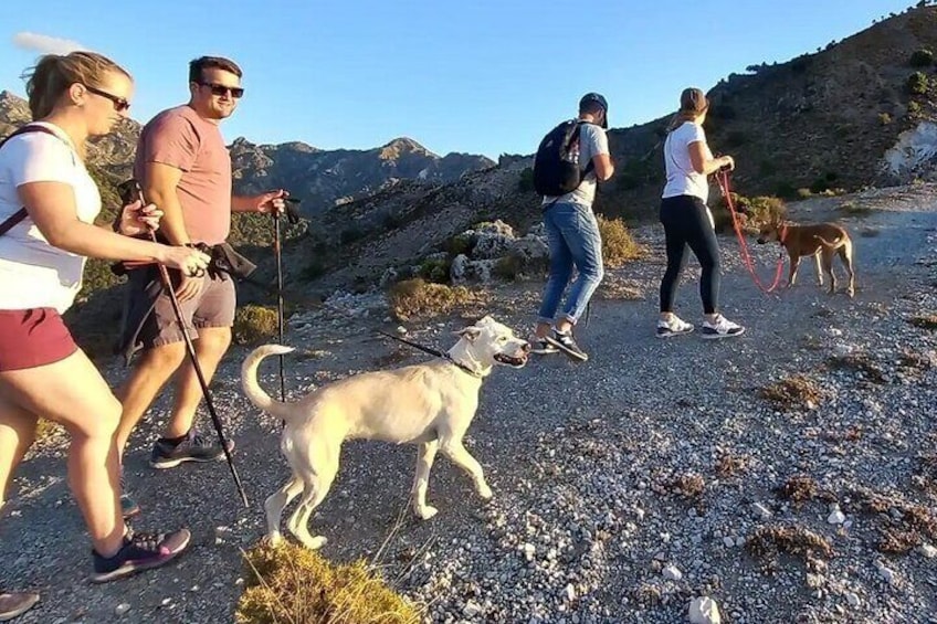  Sunset Hike & Summit Sierra Nevada - Private Tour with pup-guide