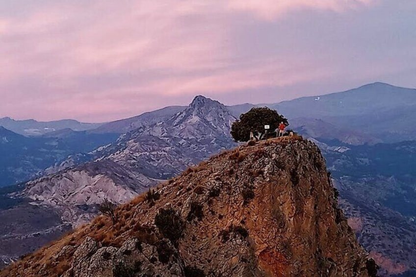  Sunset Hike & Summit Sierra Nevada - Private Tour with pup-guide