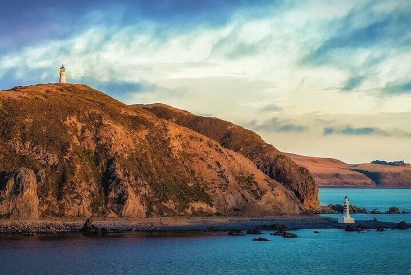 Wellington south coast
