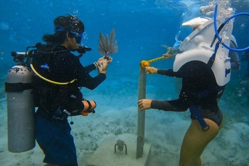 Costa Maya's Unique Underwater Helmet Adventure with SeaTrek