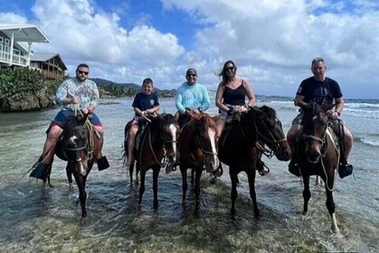 Horseback Riding Island Tour Combo