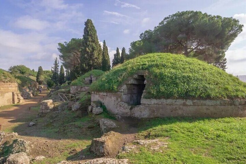 The Etruscan Lands-Bracciano, Ceri And Cerverteri Tour from Rome