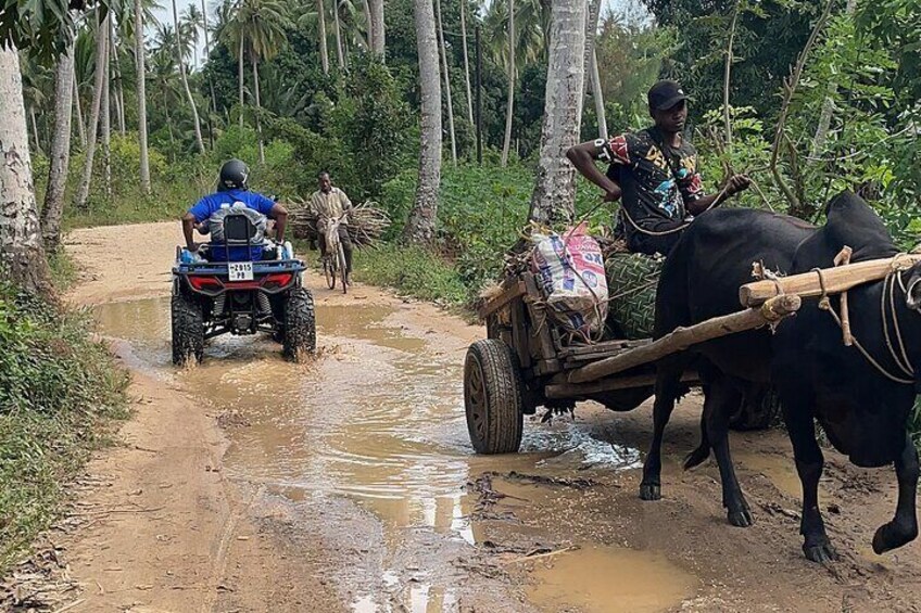 ATV Tour in Zanzibar